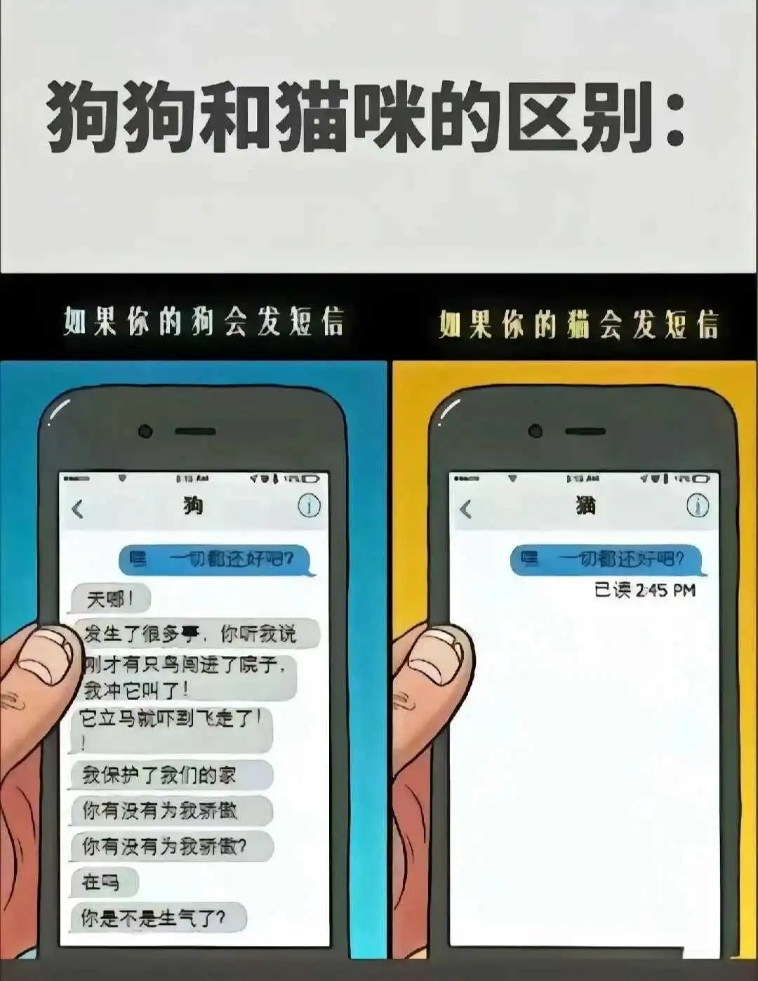 西檬之家s倾向入门指南 一