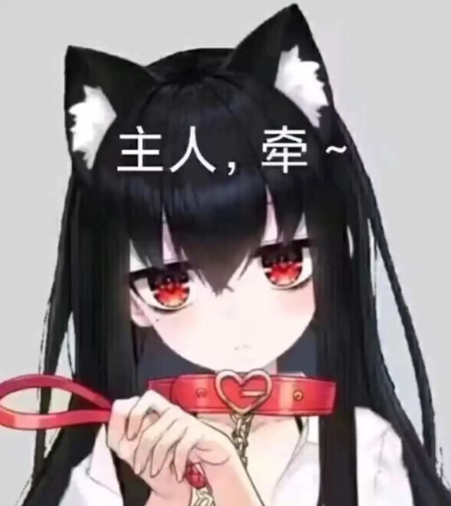西檬之家k9犬系是什么?字母圈新人入圈 一