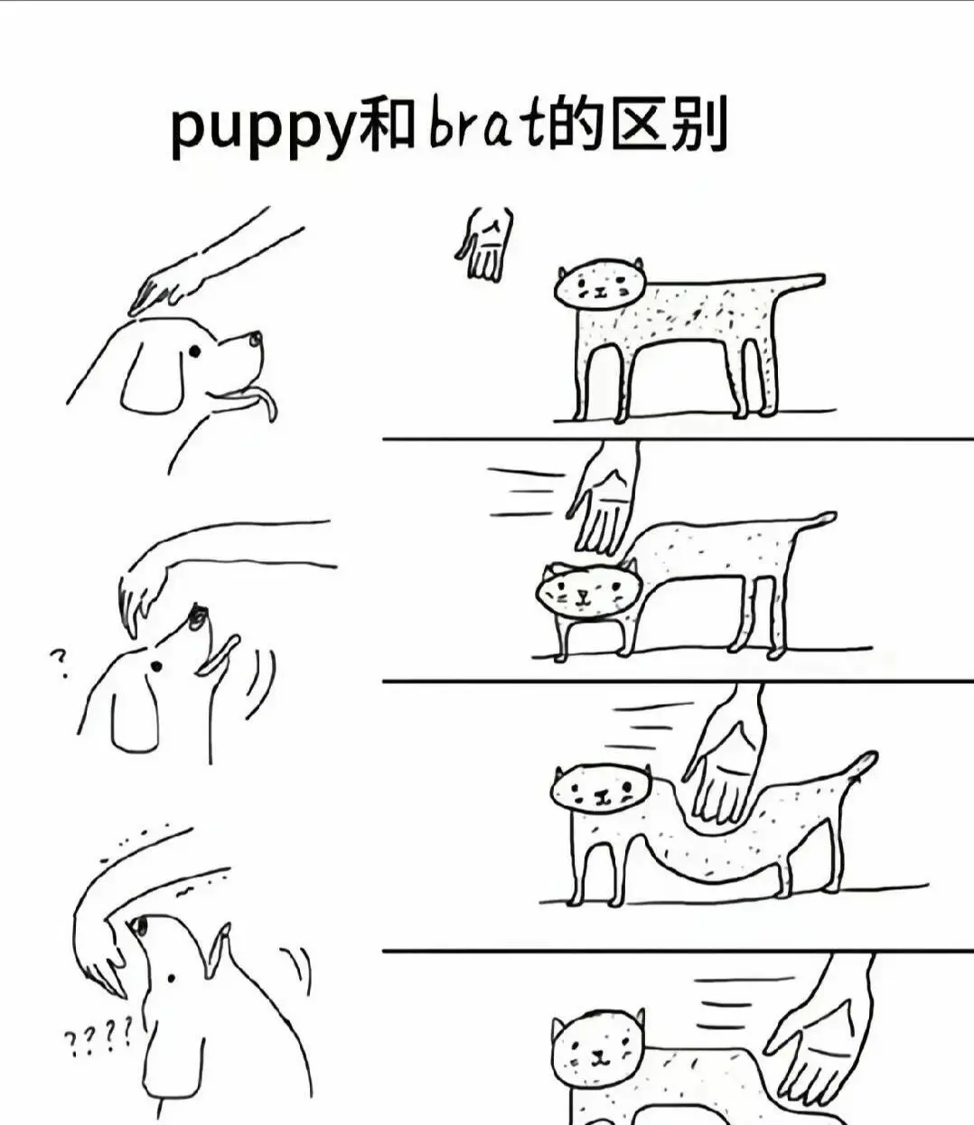 西檬之家恋物癖是什么?你的小众属性在哪 一