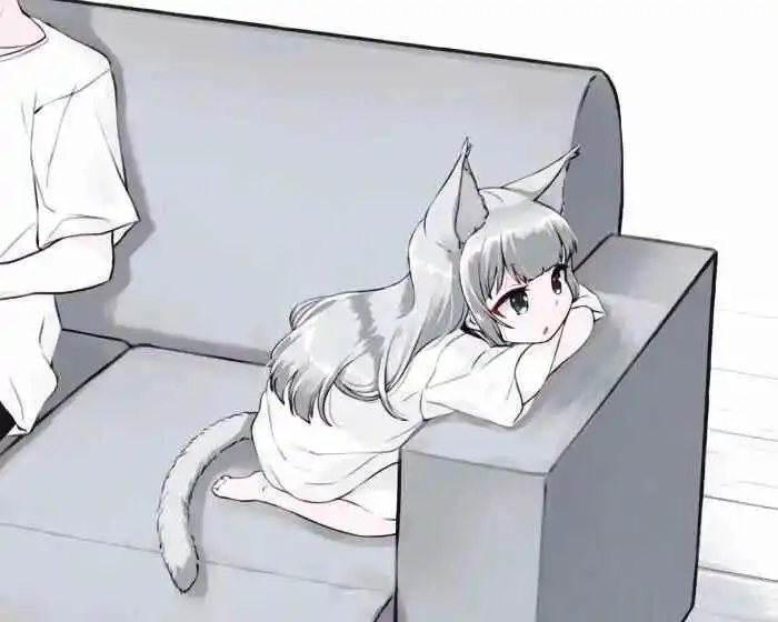 西檬之家sp小圈是什么意思? 一