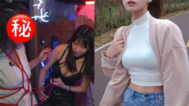 西檬之家TS是什么意思? 一