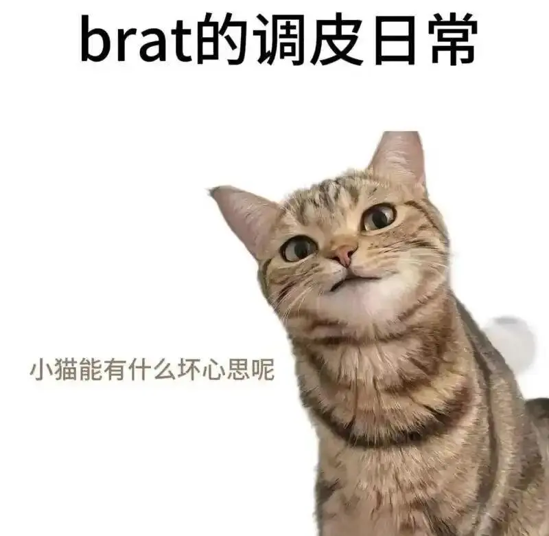 西檬之家字母圈小圈是什么? 一
