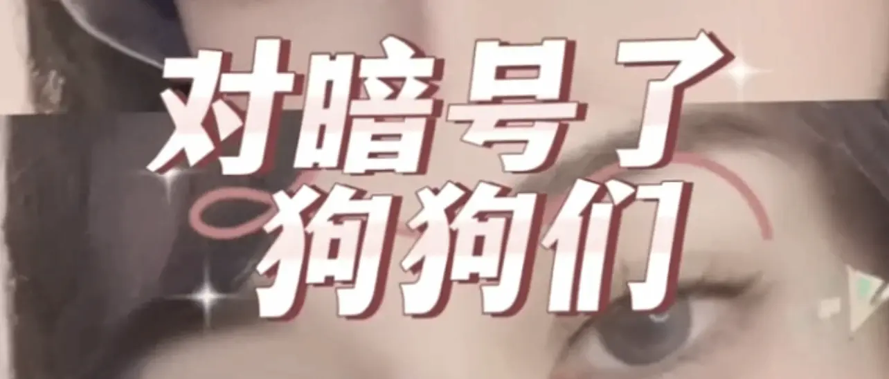 西檬之家TS是什么?字母圈跨性别者身份解析 一
