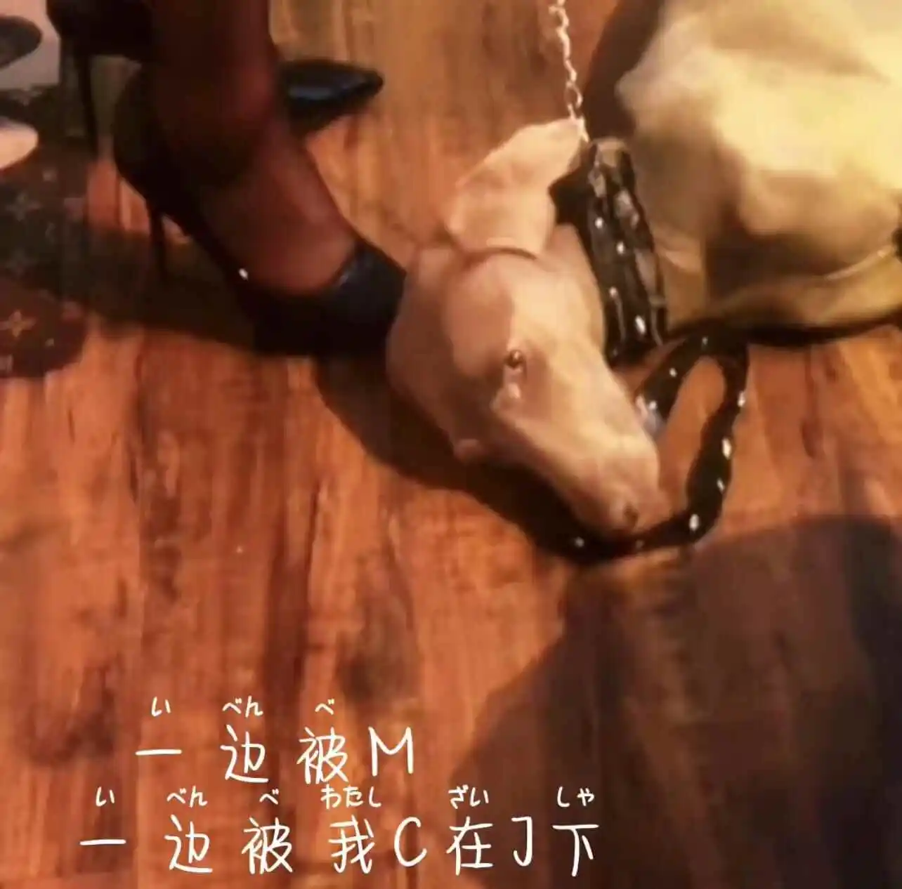 西檬之家BDSM入圈难吗?新人如何安全上手? 一