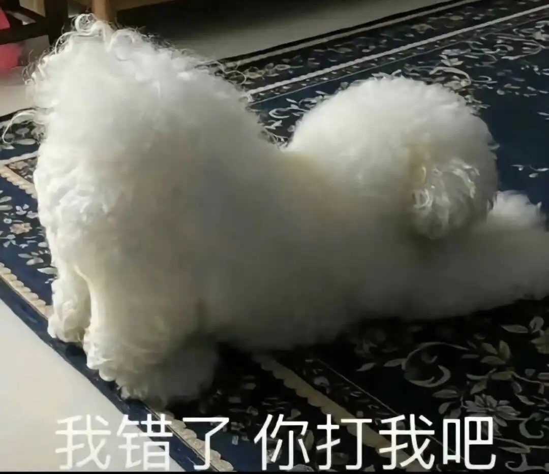 西檬之家圣水是什么?字母圈新人必读 一