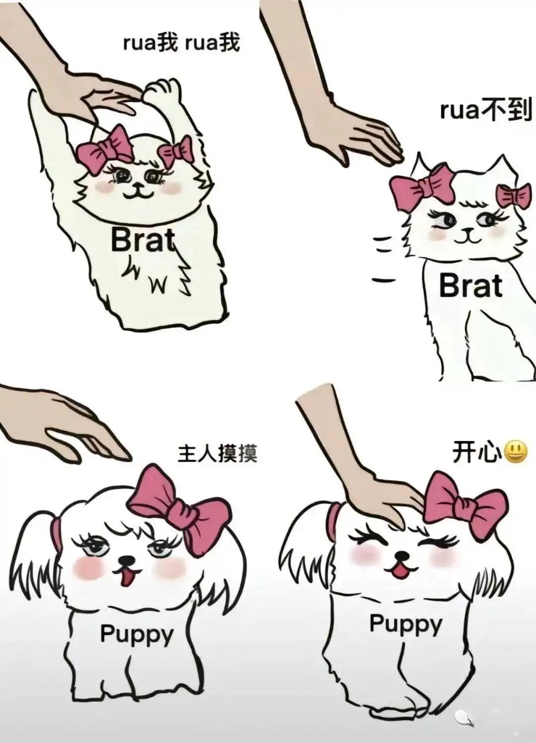 西檬之家恋物癖是什么?字母圈新人科普 一