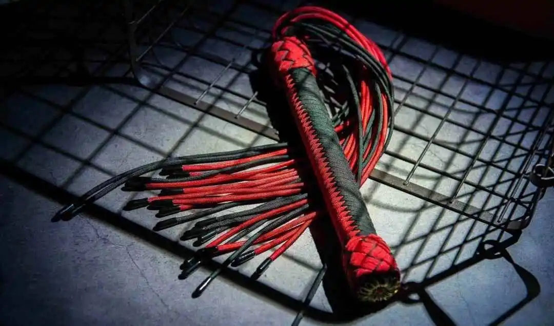 西檬之家BDSM是什么意思? 一