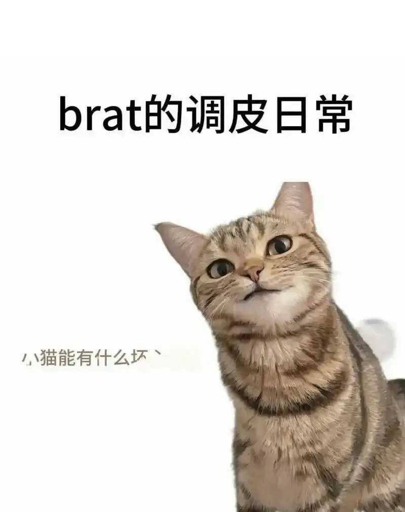 西檬之家K8猫系是什么? 一