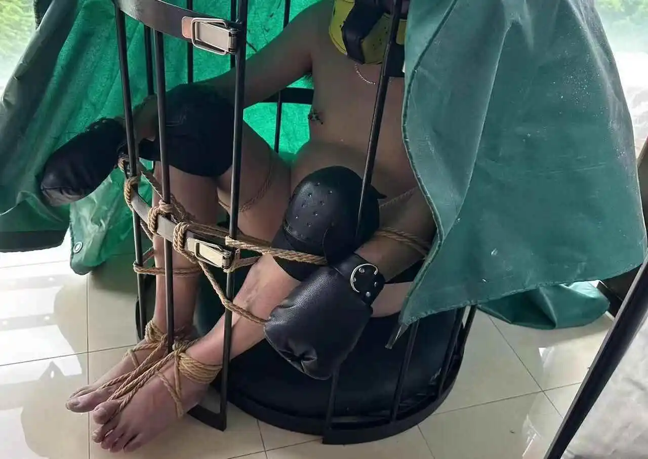 西檬之家k9犬系是什么?如何辨别你是不是k9犬系? 一